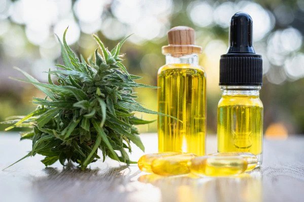 A Guide to Choosing the Right CBD Product for You