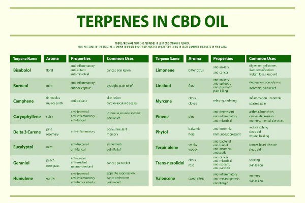 The Role of Terpenes in Your CBD or Hemp-Derived Delta 8 THC Product