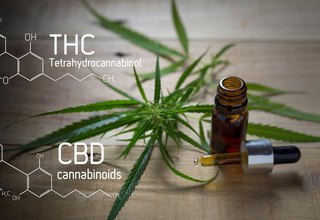 Mixing CBD and THC - The Dream Team: Activate a Dynamic Duo