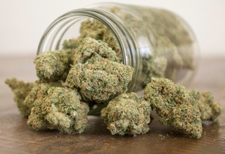 A Guide to Choose the Best Indica Strains