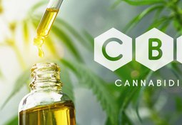 Top Tips for Buying the Right CBD Online: A Detailed Buyer’s Guide