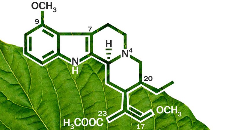 Kratom chemical structure, its further research is needed if kratom stays legal in future.