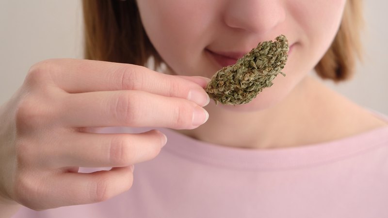 A woman is holding and sniffing a cannabis bud. Hemp terpenes create the aroma of hemp and cannabis.