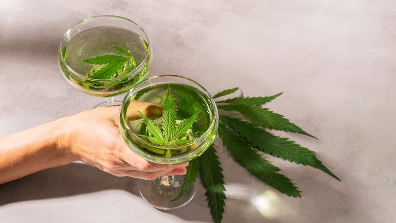 CBD with alcohol? It’s safe. This woman’s hand is holding beverage glasses with hemp leaves inside.
