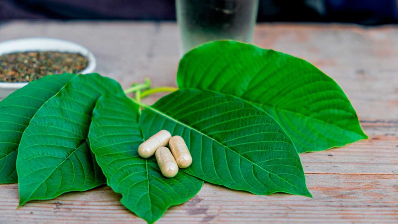 Kratom capsules sit atop white kratom leaves, which are the strongest type of kratom for energy.