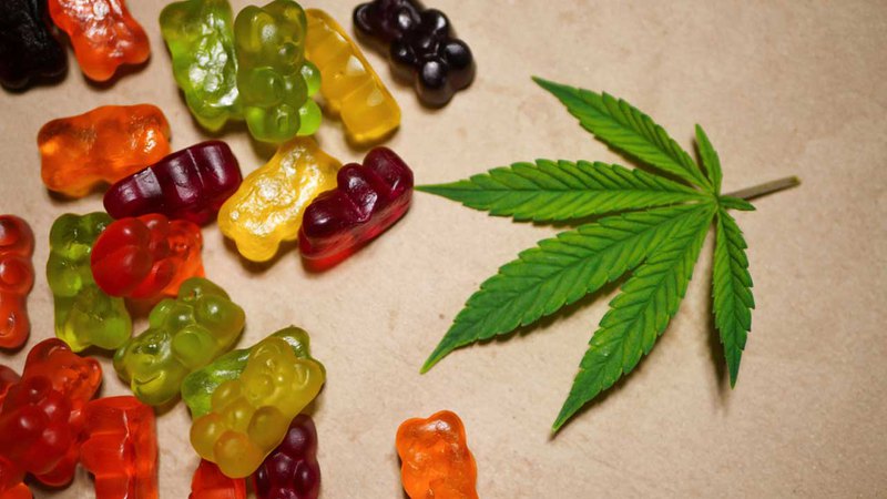 A cannabis leaf is shown to the right of brightly colored gummy bears. Are Delta-8 gummies safe?