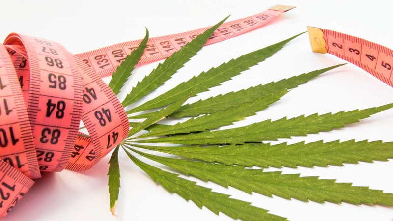 Hemp & tape measure. Which CBD is best for weight loss? One from a trusted supplier like PharmaCBD.
