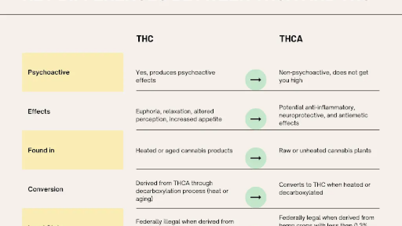 A table shows the distinctions between THC and THCA, helping consumers understand their differences.