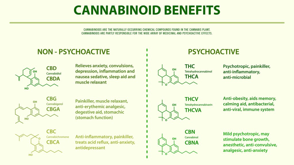 THCA and THC in cannabis serve as herbal alternative medicines, offering distinct benefits.