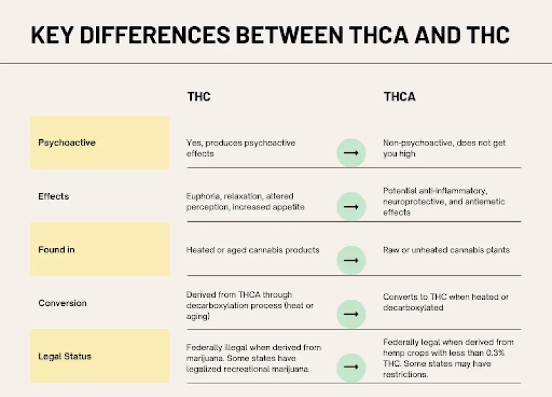 A table shows the distinctions between THC and THCA, helping consumers understand their differences.