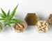 Delta-8 THC: Product Types and Properties