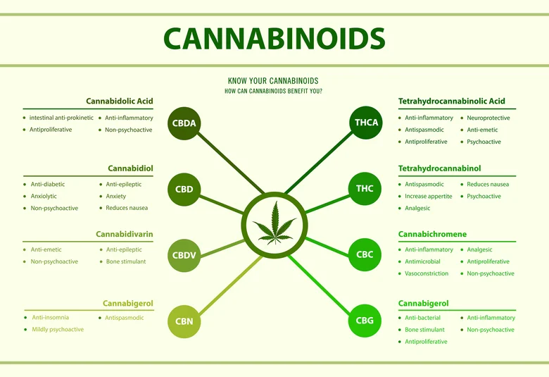 THCA vs THC: What's the Difference in Cannabis Compounds?