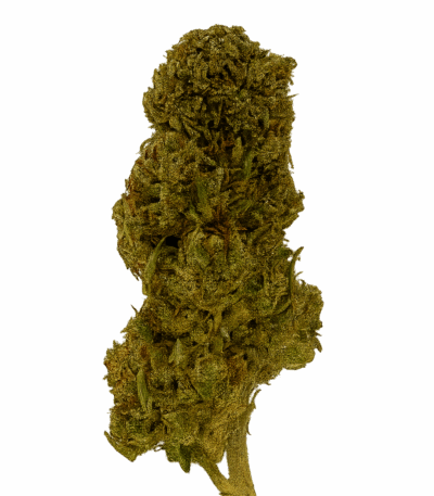 CBD Flower – Sour Chem