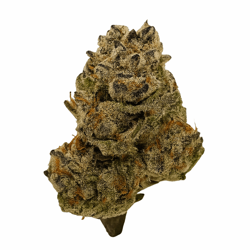 THCA Flower – Blueberry Blast