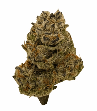 THCA Flower – Blueberry Blast