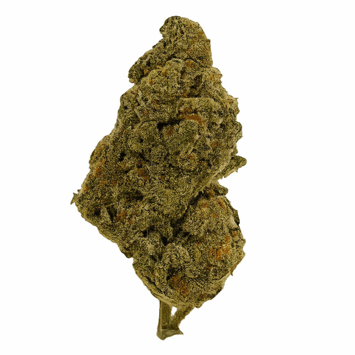 THCA Flower – Demon King