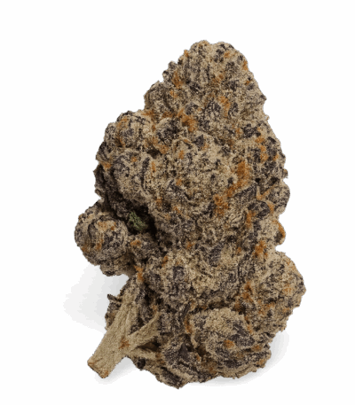 THCA Flower – Slurricane